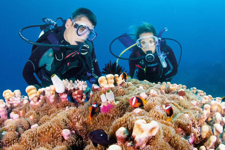 Great Barrier Reef